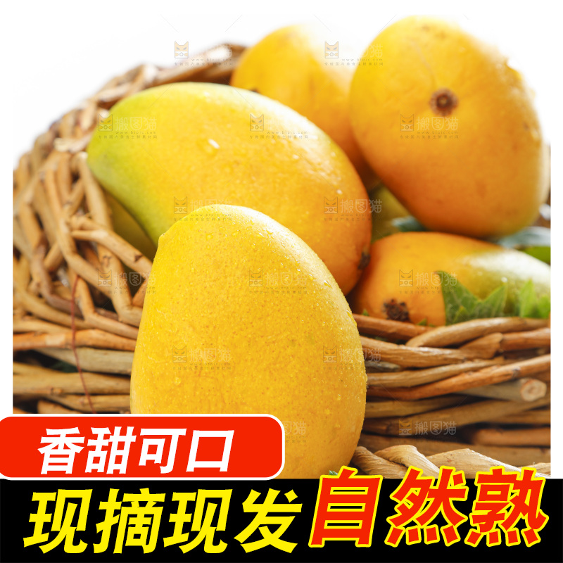 篮子里装着海南台农芒果