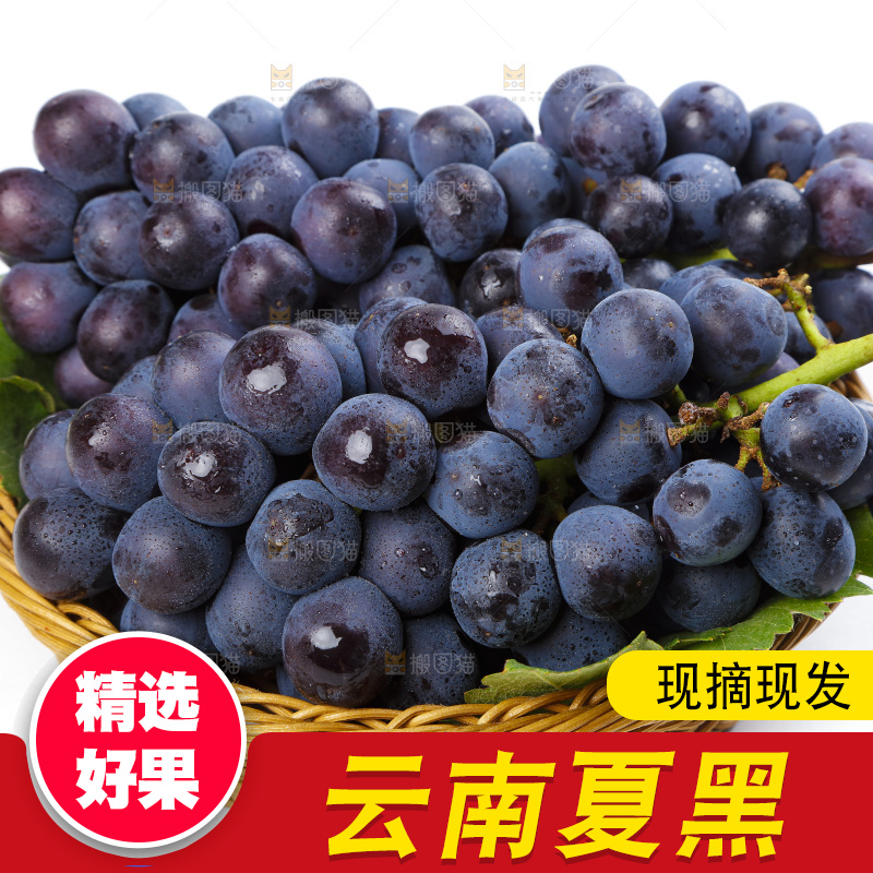 篮子里装着无籽葡萄