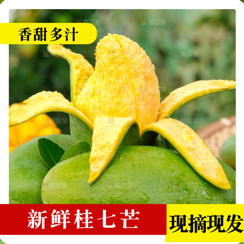 草地上放着青皮桂七芒