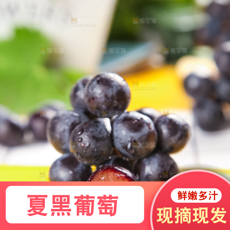 黄底上放着黑加仑葡萄