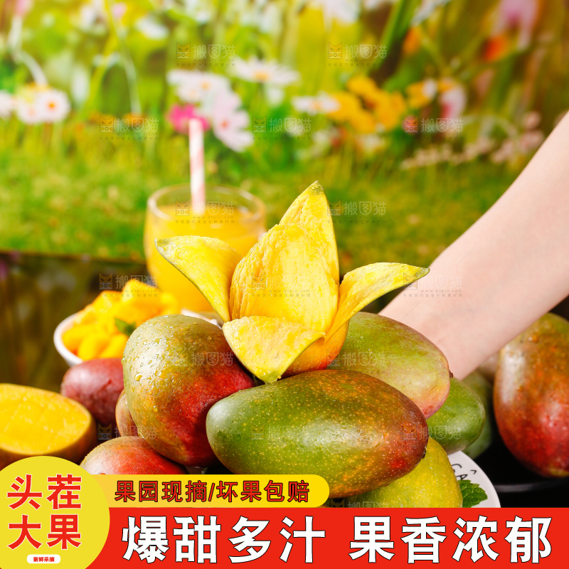 手里拿着新鲜芒果