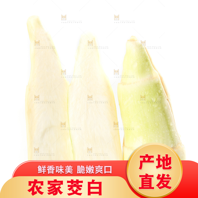 白底上的茭白