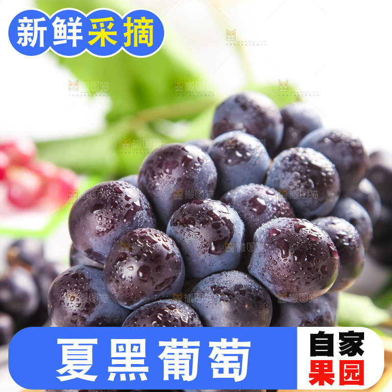 板子上的夏黑无籽葡萄