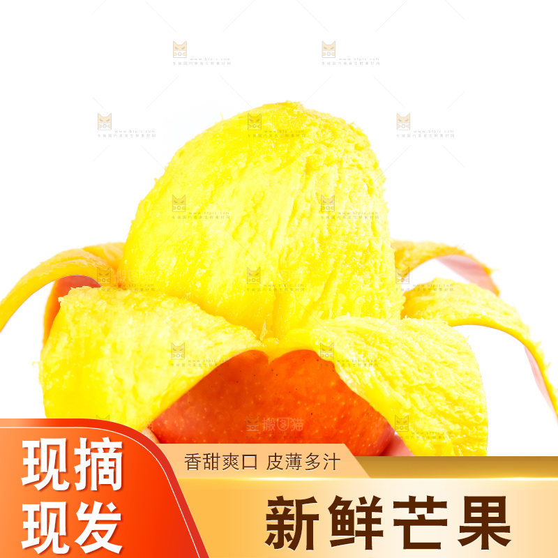 白底上的爱文芒