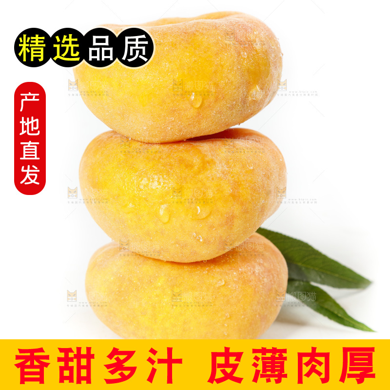 白底上的蒙阴毛蟠桃