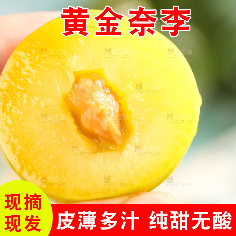手里拿着新鲜黄金奈李