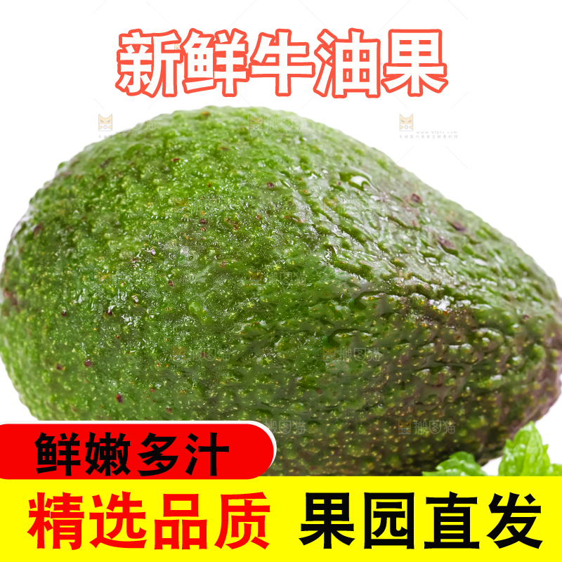 白底上的墨西哥牛油果