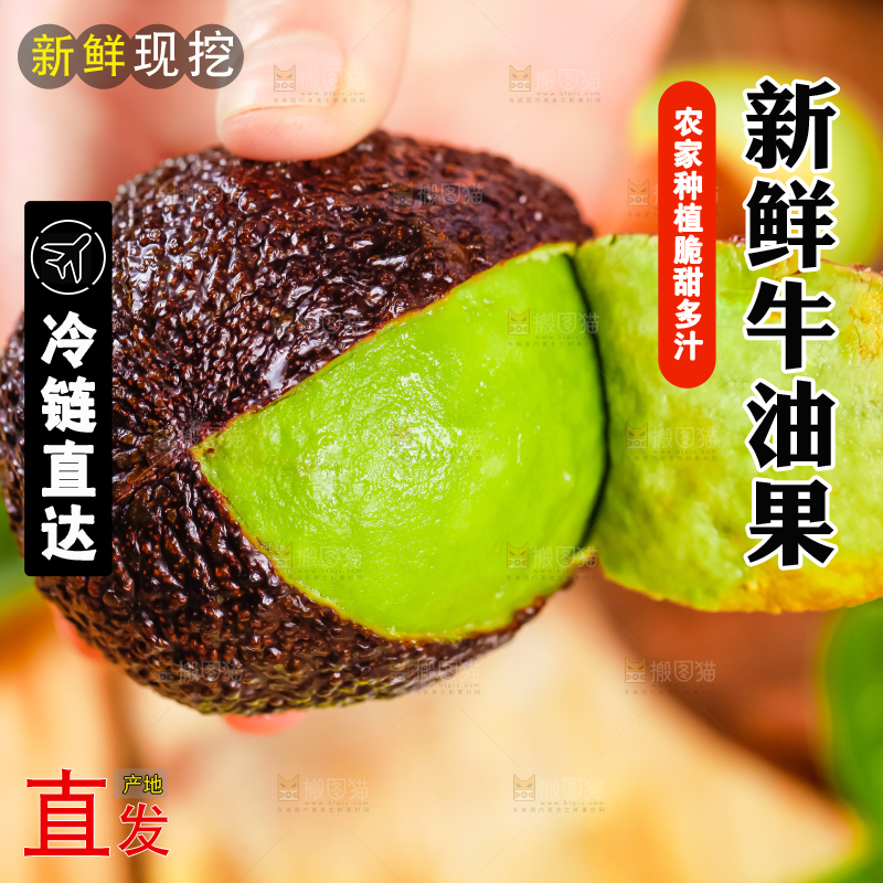 浅底上的巨无霸牛油果