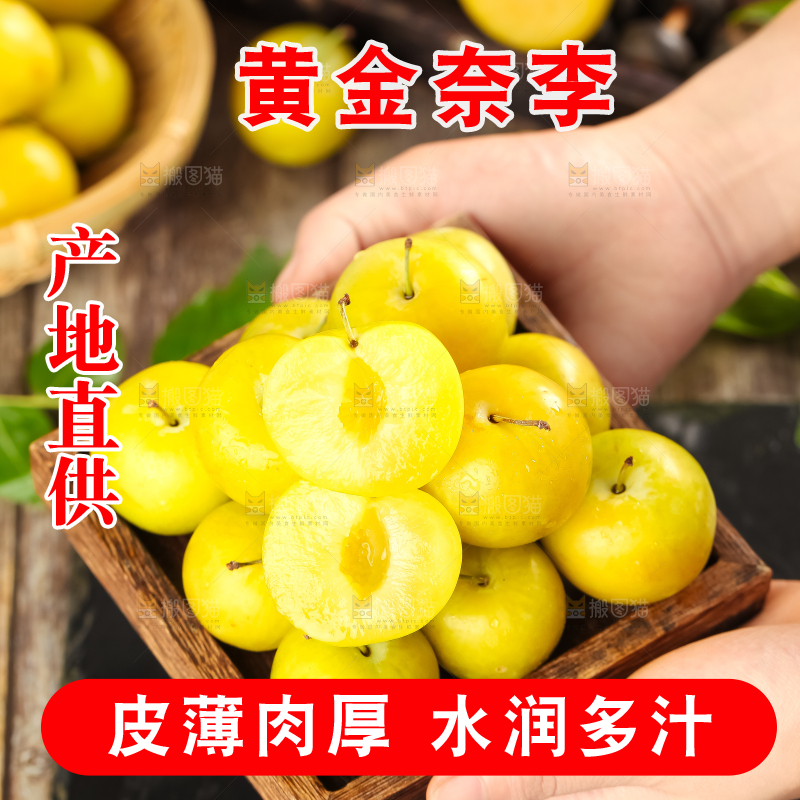 手里拿着黄金奈李