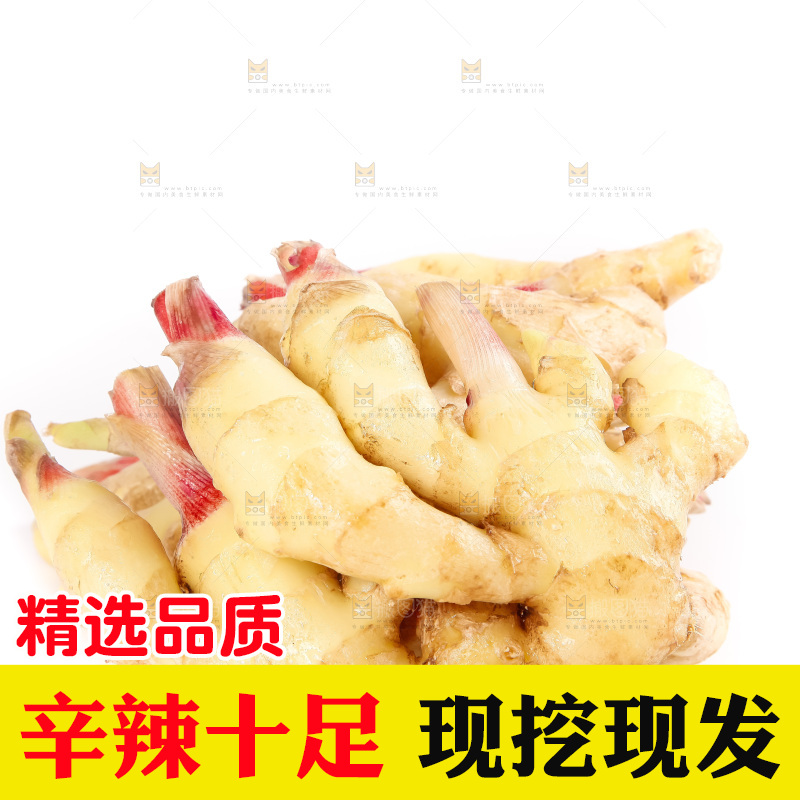 白底上的红芽姜