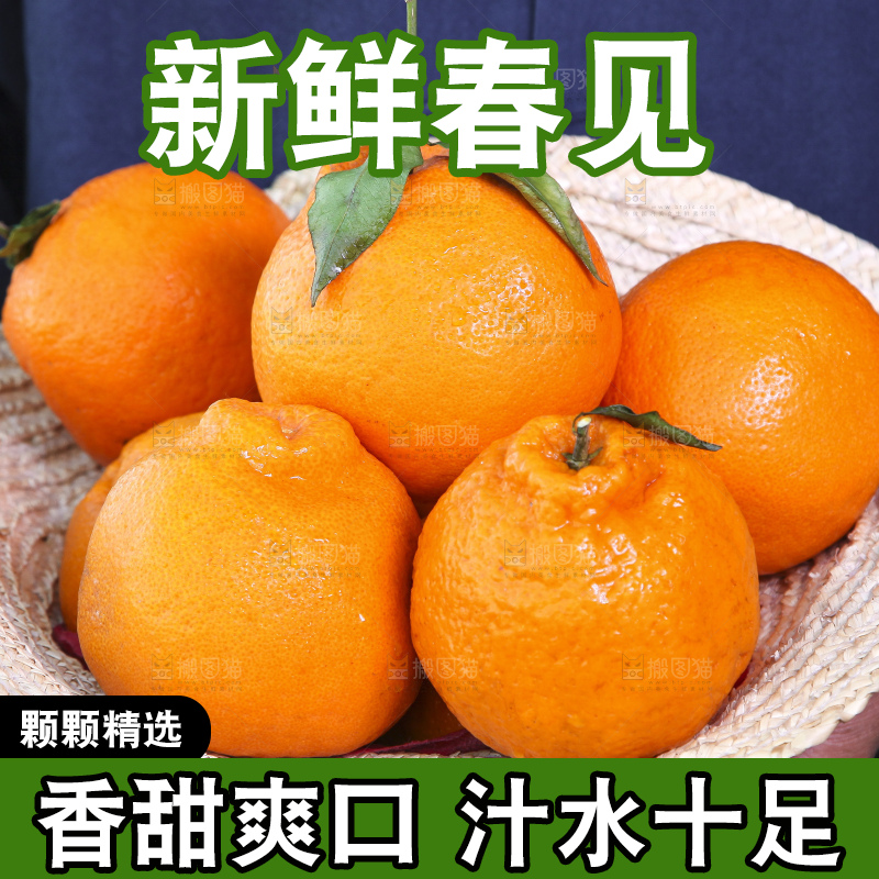 农民手里端着一篮子春见耙耙柑