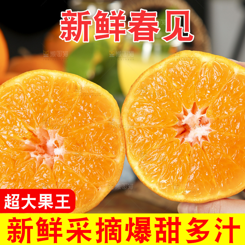 手里拿着四川耙耙柑