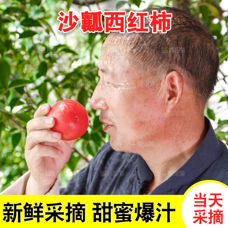 农民手里拿着普罗旺斯西红柿