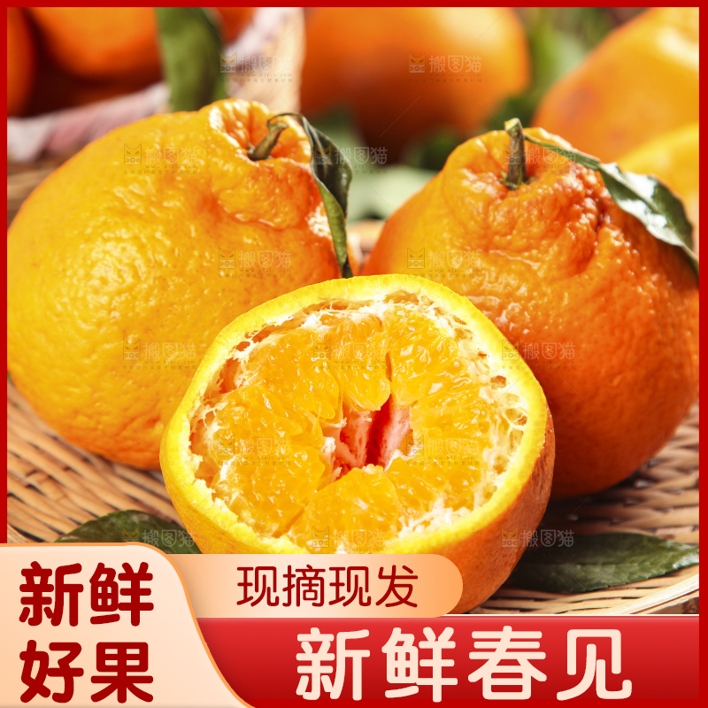 木板上的春见耙耙柑