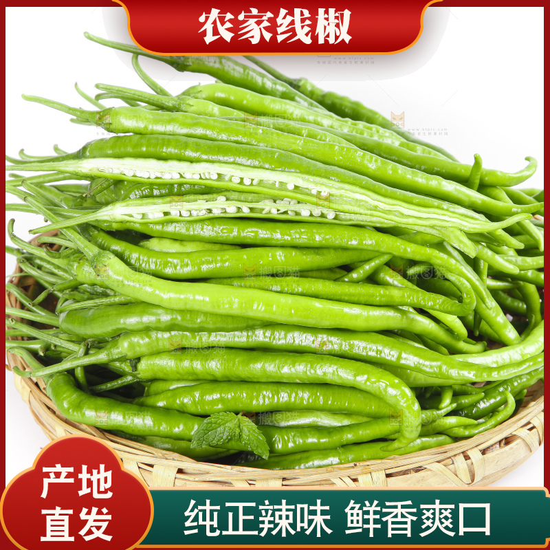 篮子里装着线椒