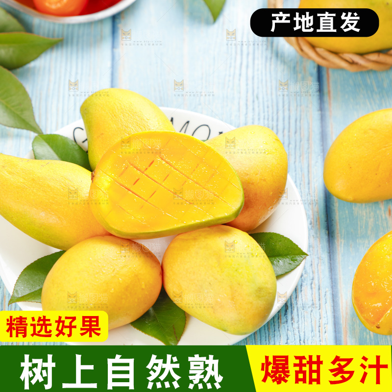 浅底上的海南小台农芒果