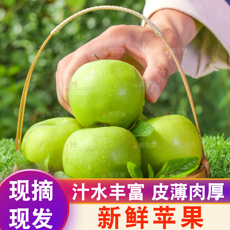 篮子里装着青苹果