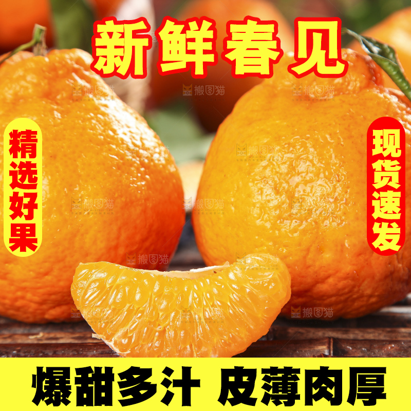 木板上的春见耙耙柑