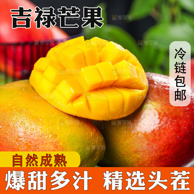 黑石板上的四川吉禄芒