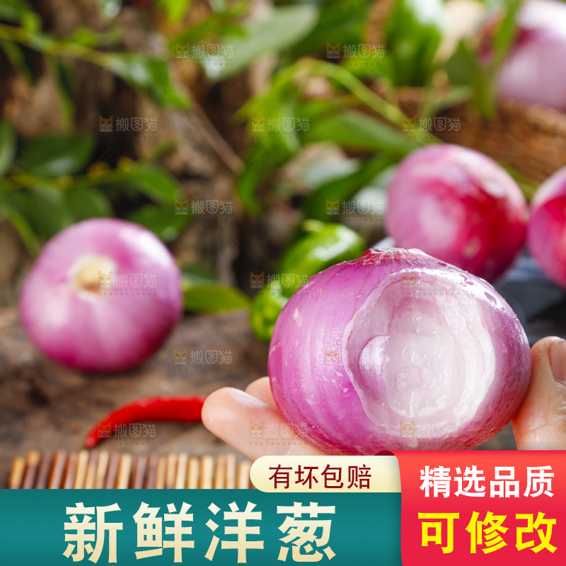 手里拿着新鲜洋葱