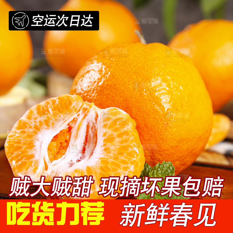 木板上放着春见耙耙柑