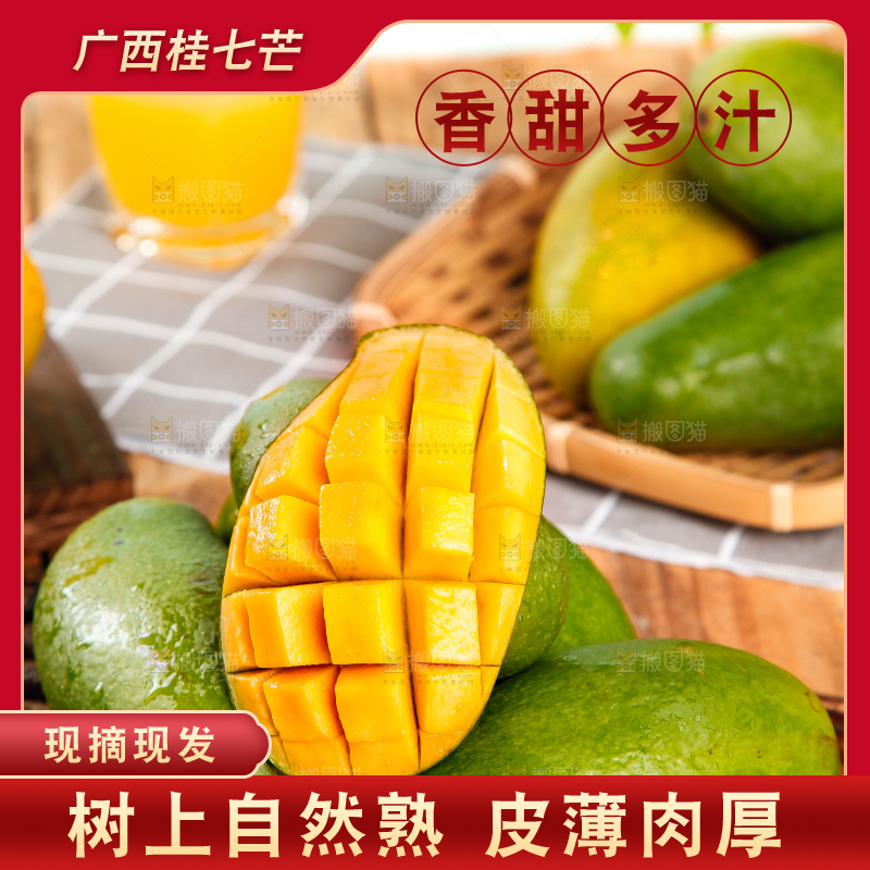 竹底上的青皮桂七芒