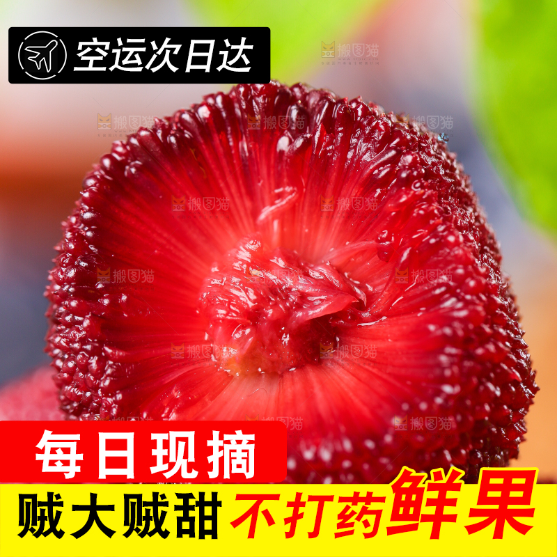深底上放着余姚杨梅
