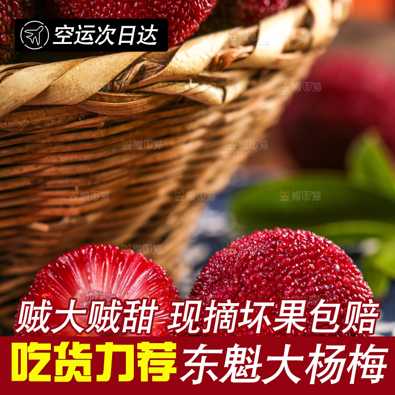 杨梅