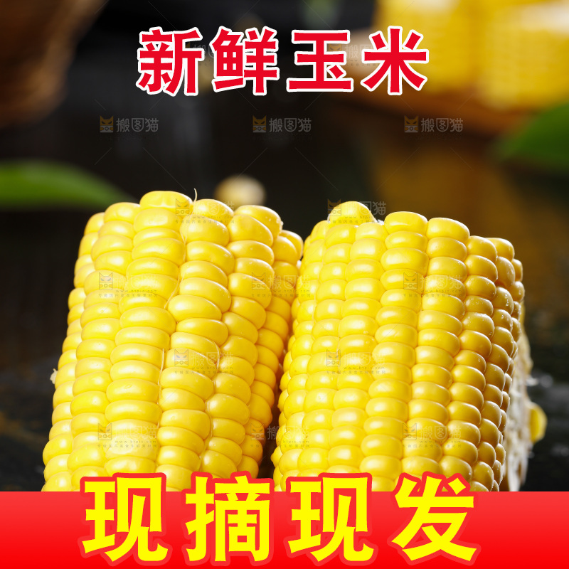 石板上放着黄玉米