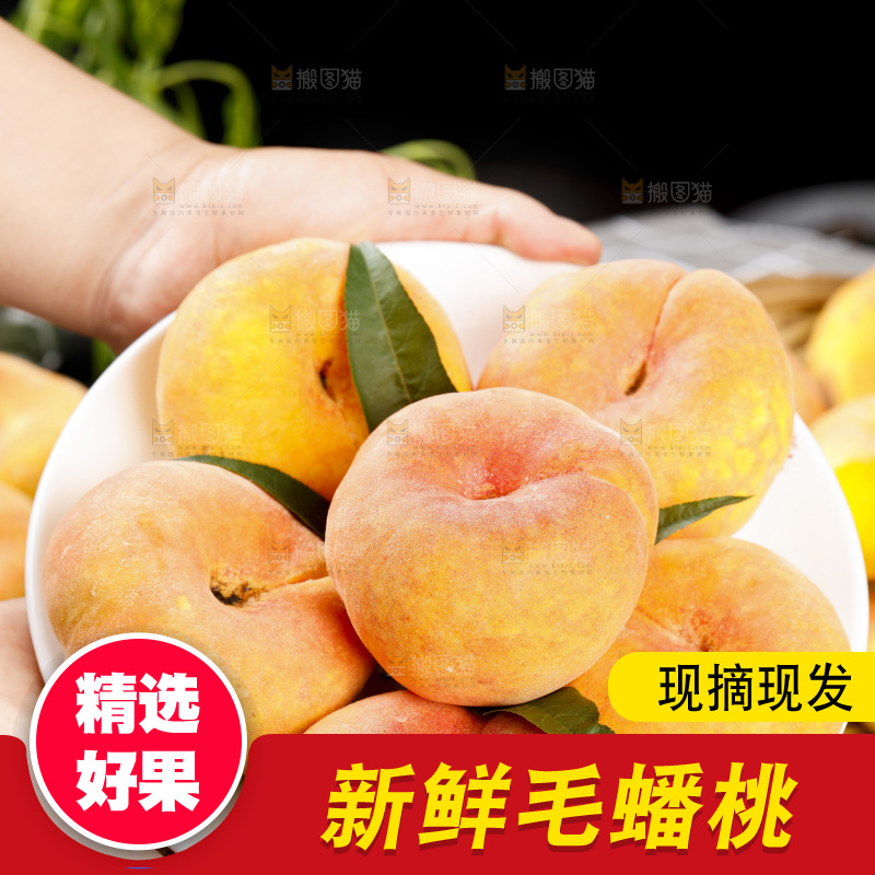 黑底上的毛蟠桃