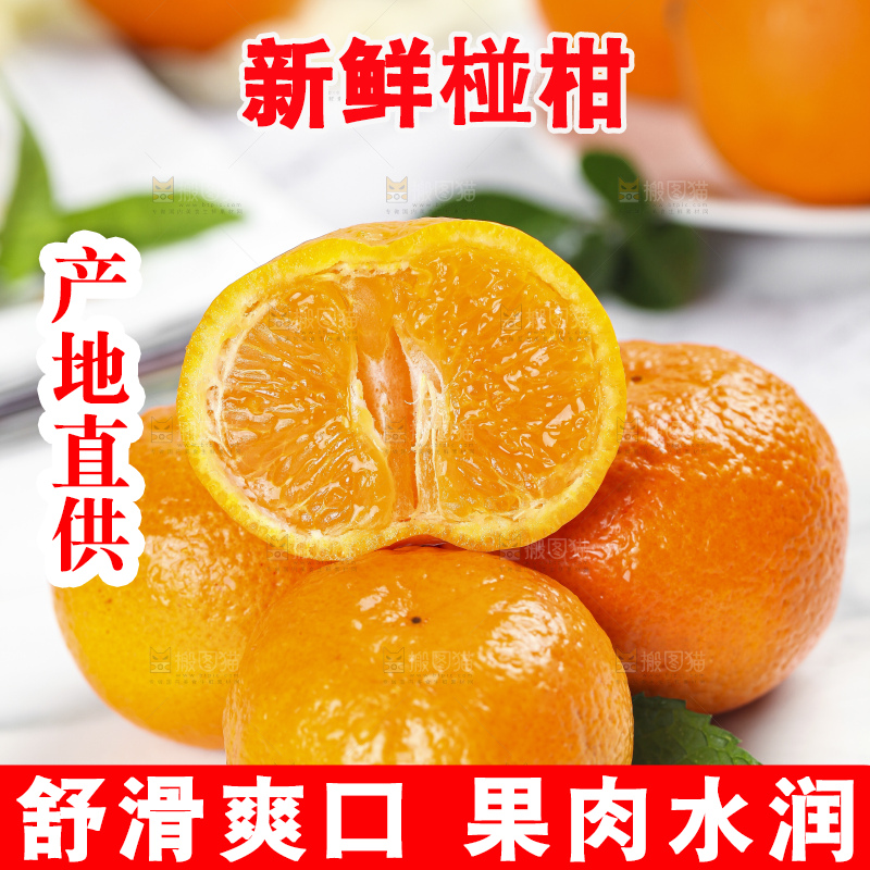石板上的新鲜芦柑
