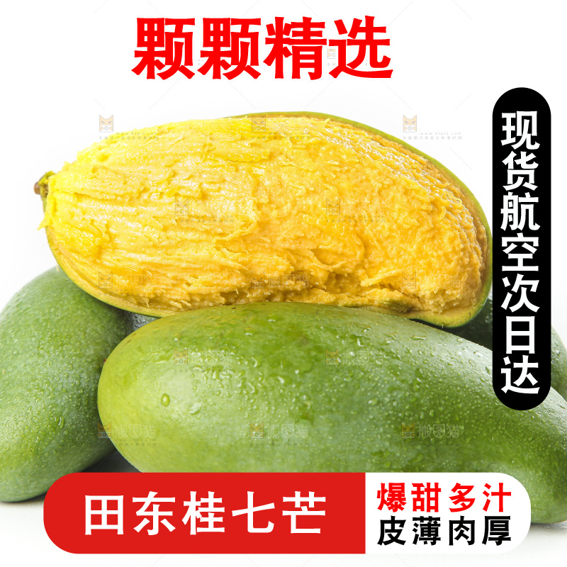 白底上放着青皮桂七芒