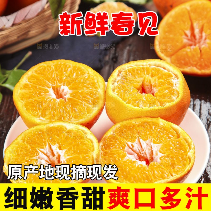 木板上的春见耙耙柑