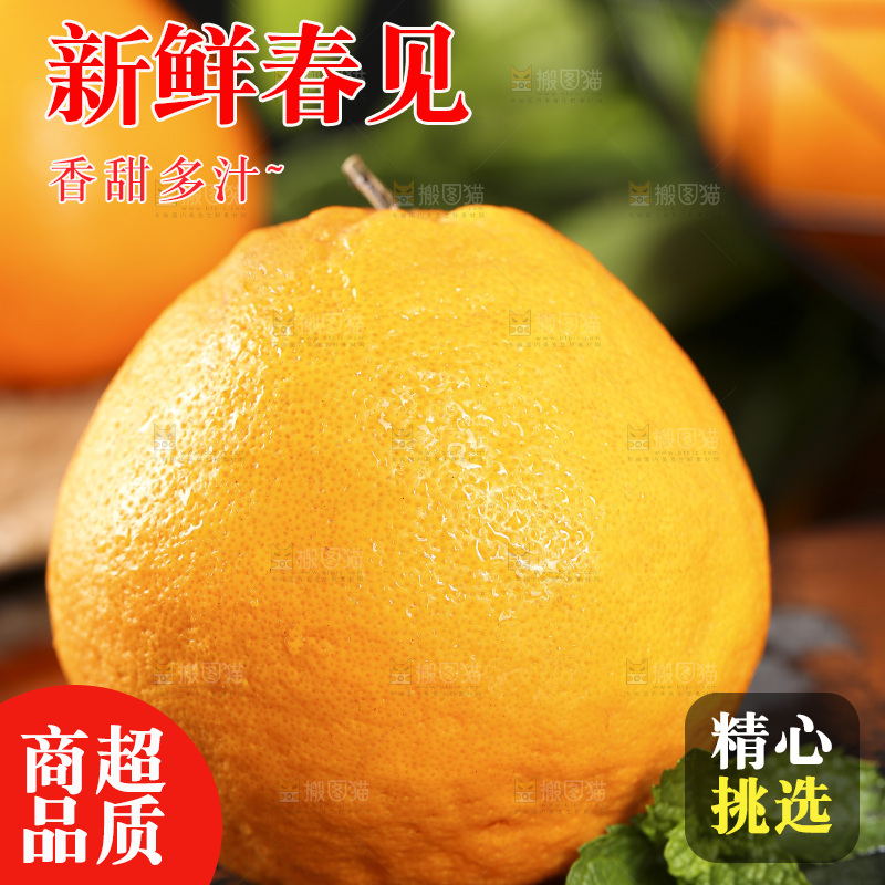 石板上摆放着四川春见耙耙柑
