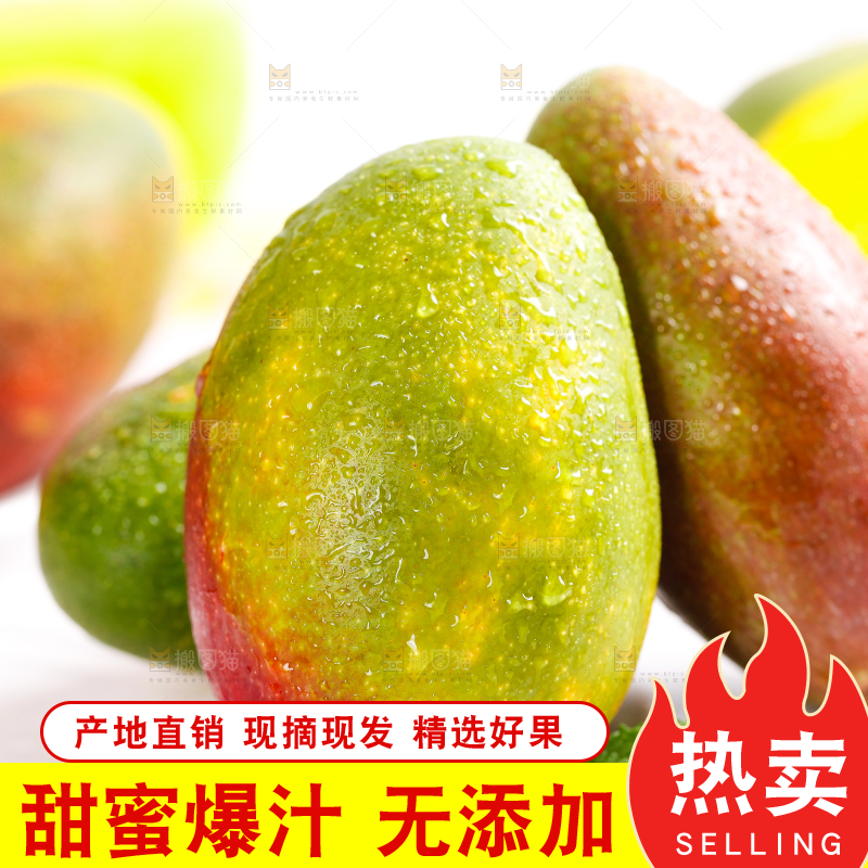 白底上放着吉禄芒