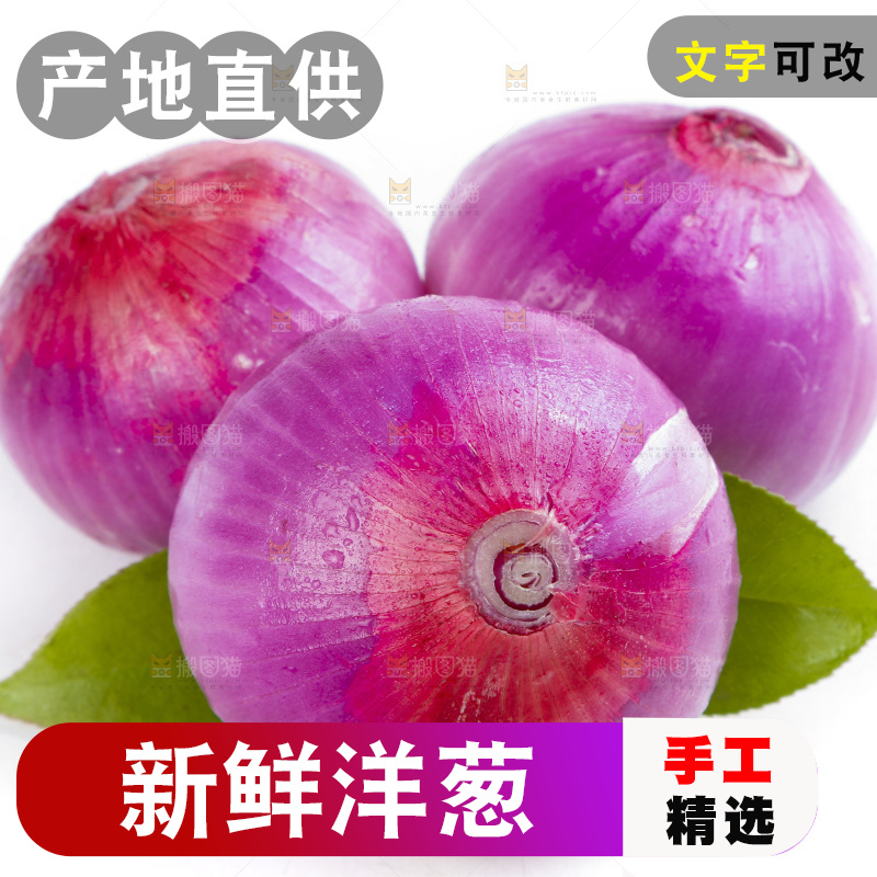 白底上的新鲜洋葱