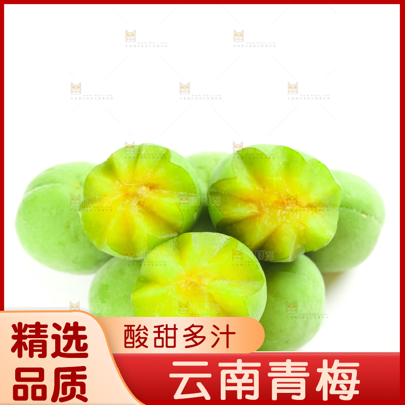 白底上的诏安青梅