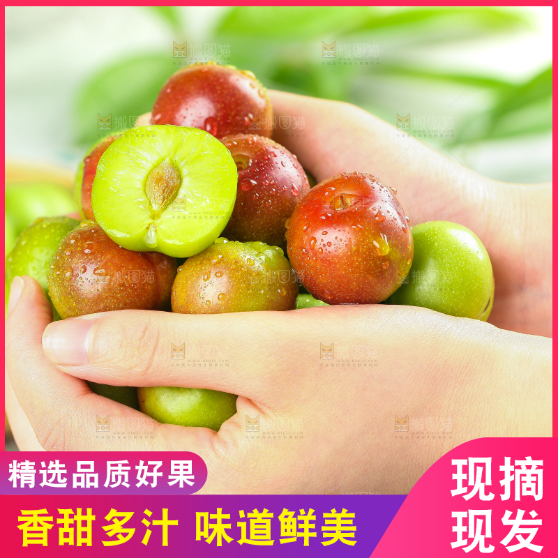 手里拿着脆红李