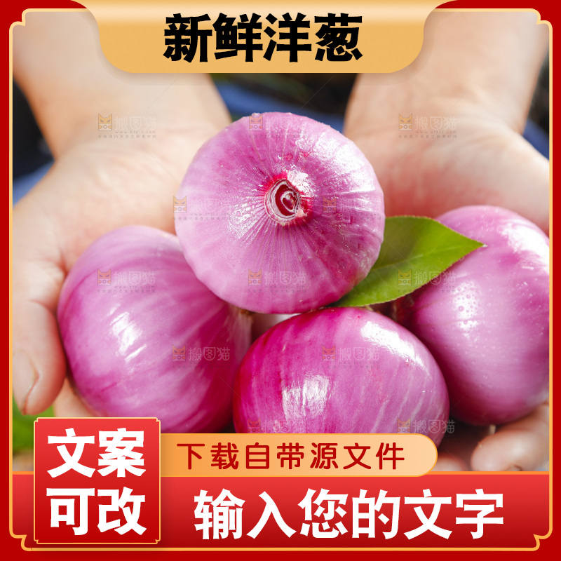 手里捧着洋葱