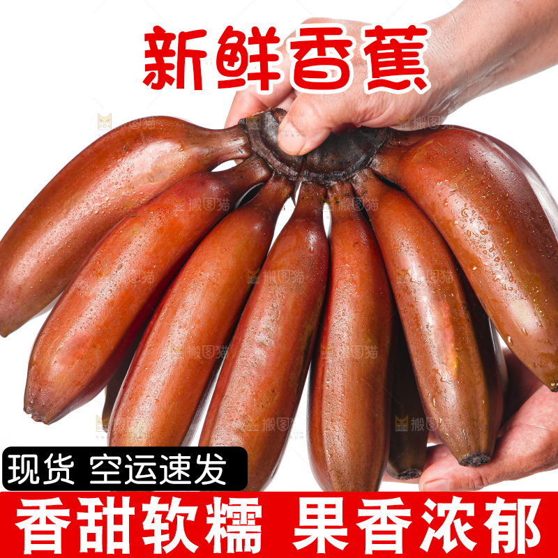 白底上的红皮美人蕉