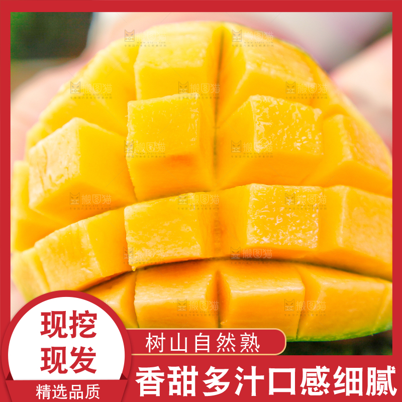 手上拿着田东桂七青芒