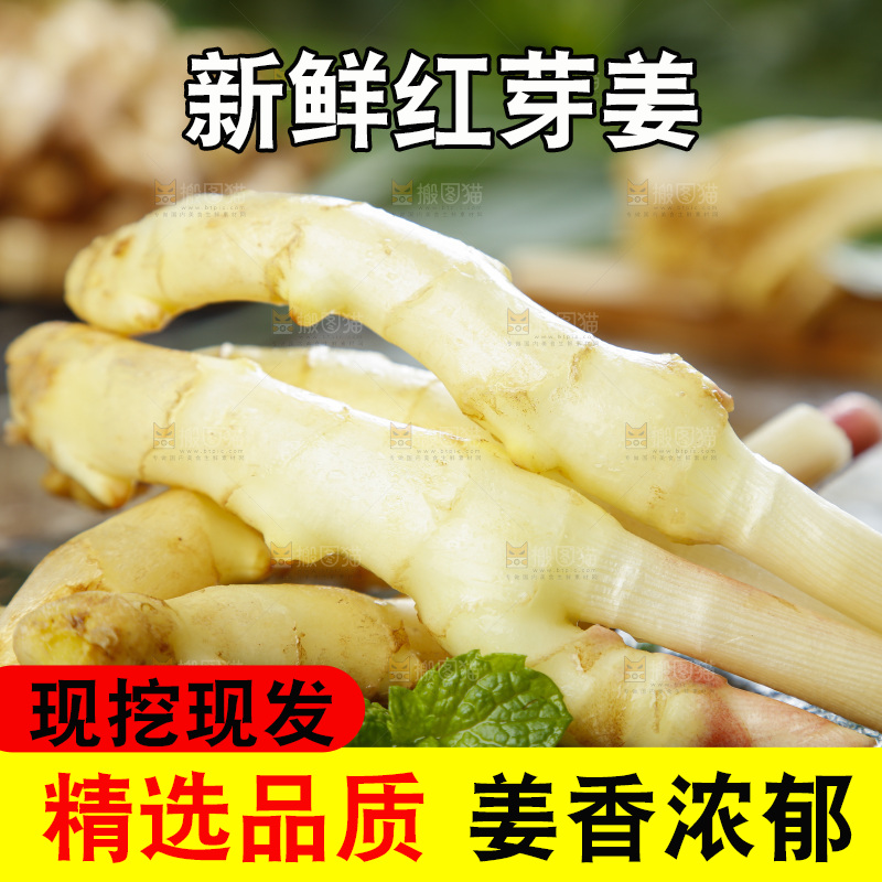 黑石板上放着红芽嫩姜