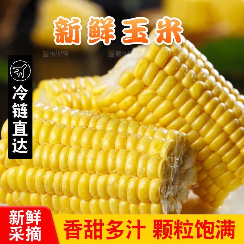 黑石板上的东北玉米