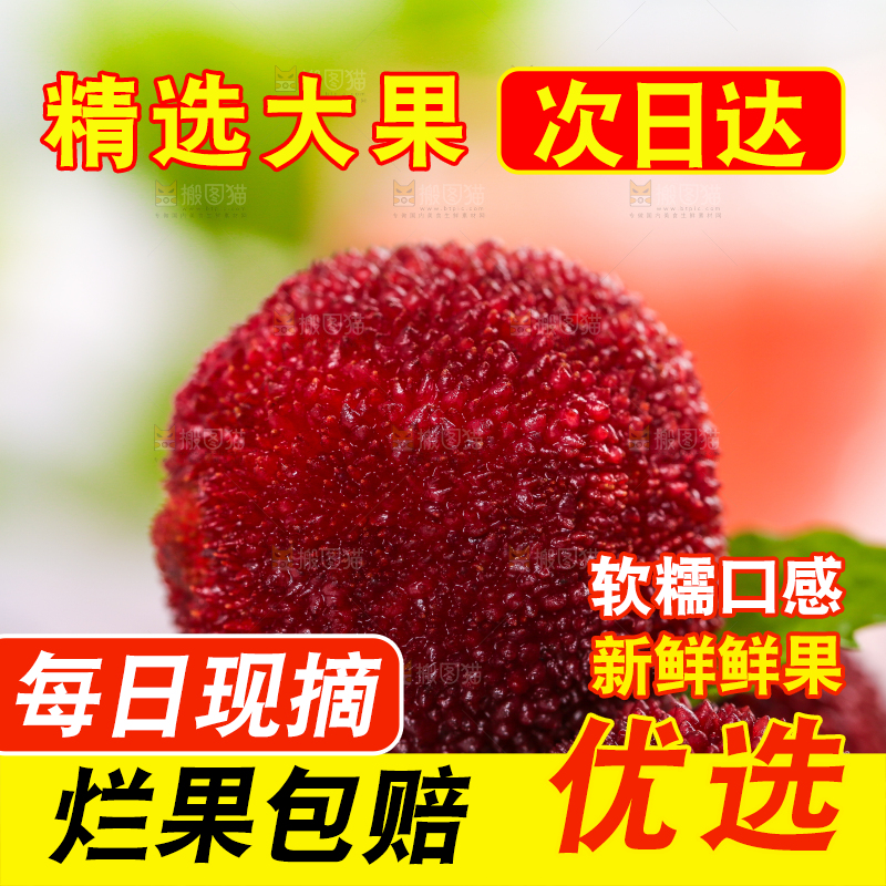 盘子上放着新鲜杨梅