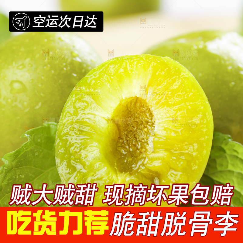 浅底上放着脱骨李