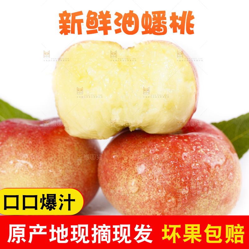 白底上的纽扣油蟠桃