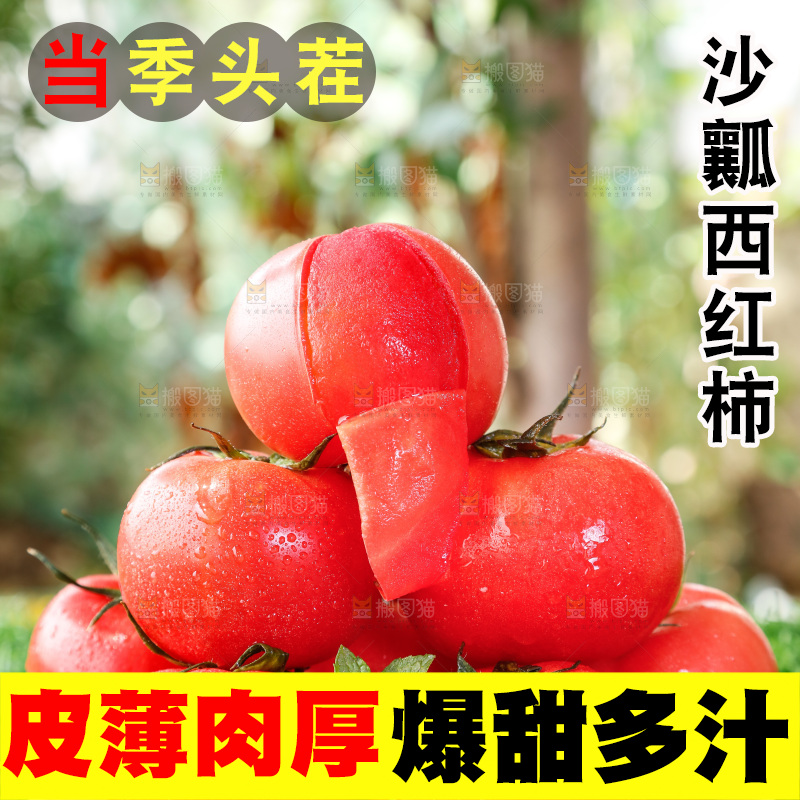 草地上的一堆新鲜西红柿