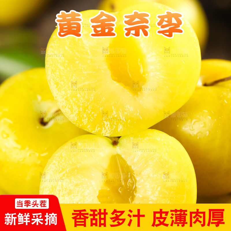 黑石板上放着九峰山黄金奈李