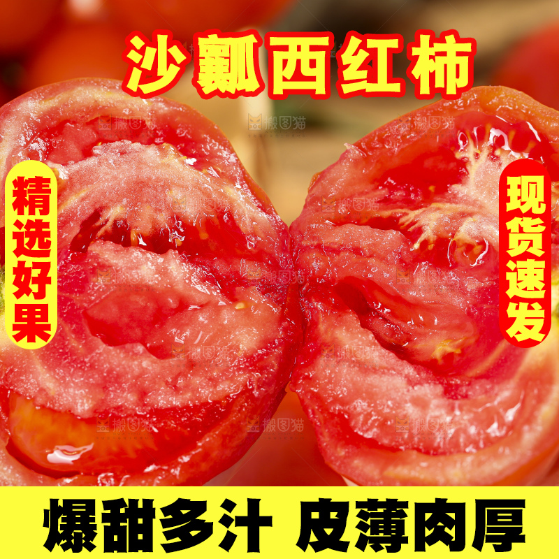 手里拿着米易沙瓤西红柿