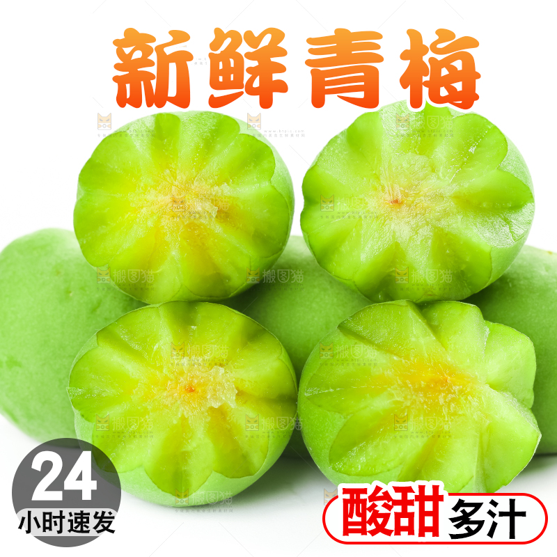 白底上的诏安青梅